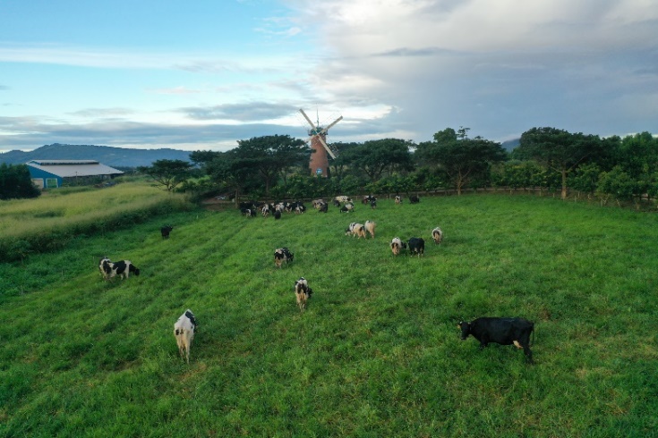 Vinamilk sở hữu các sản phẩm sữa tươi đầu tiên trên thế giới đạt chứng nhận từ tổ chức Clean Label Project của Mỹ