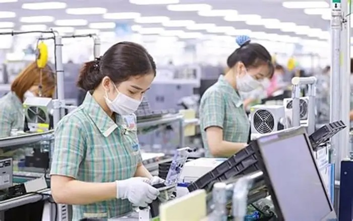 Vi phạm kê khai đăng ký, doanh nghiệp có thể bị phạt tới 70 triệu đồng