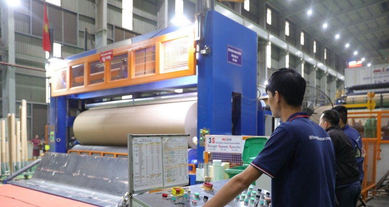 Ứng dụng công nghệ sinh học trong ngành giấy: Xu hướng tất yếu