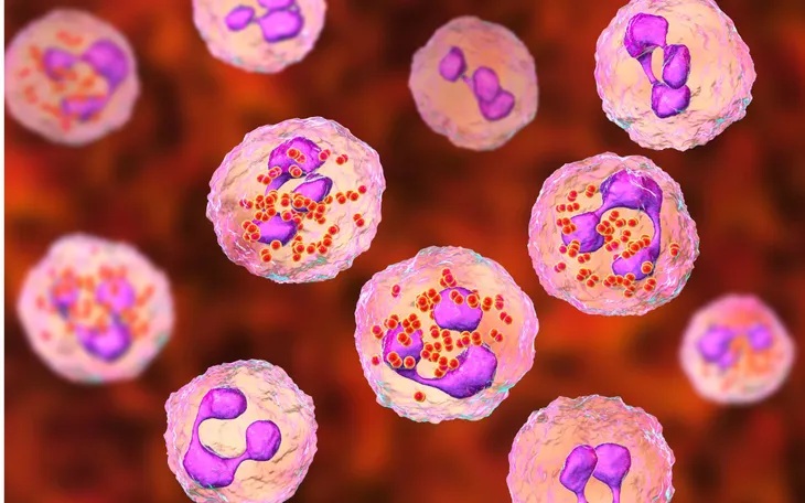 Bộ Y tế khuyến cáo phòng bệnh viêm màng não do não mô cầu