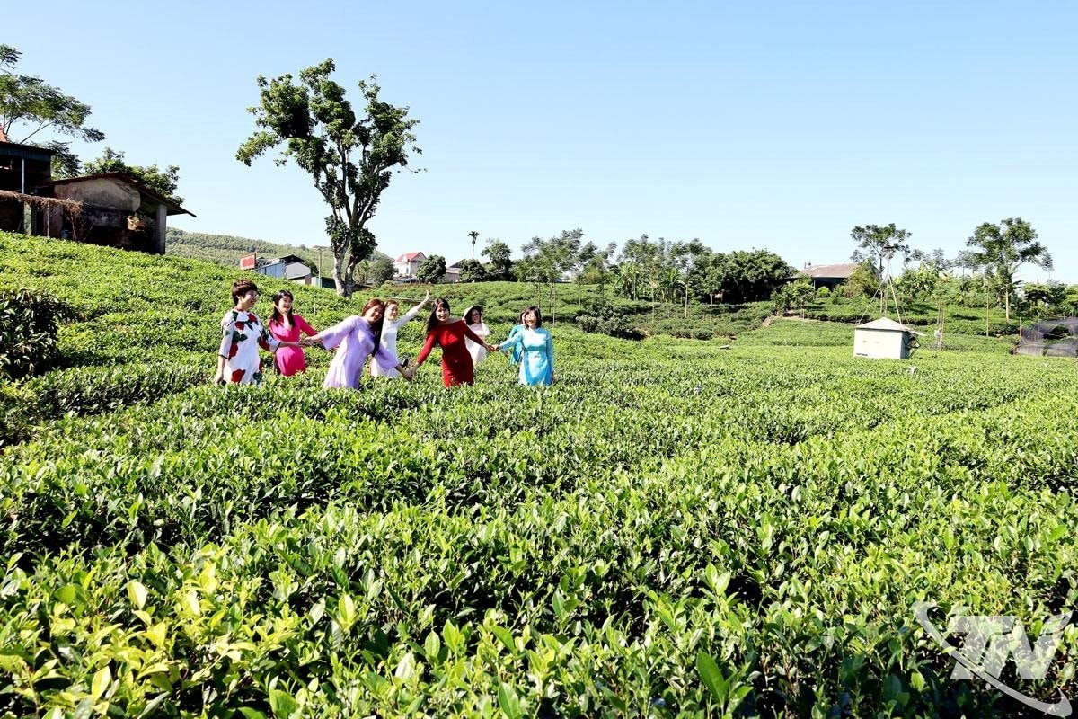 Du lịch Thái Nguyên: Không còn là “đi cho biết”